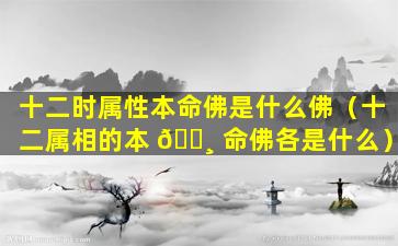 十二时属性本命佛是什么佛（十二属相的本 🕸 命佛各是什么）